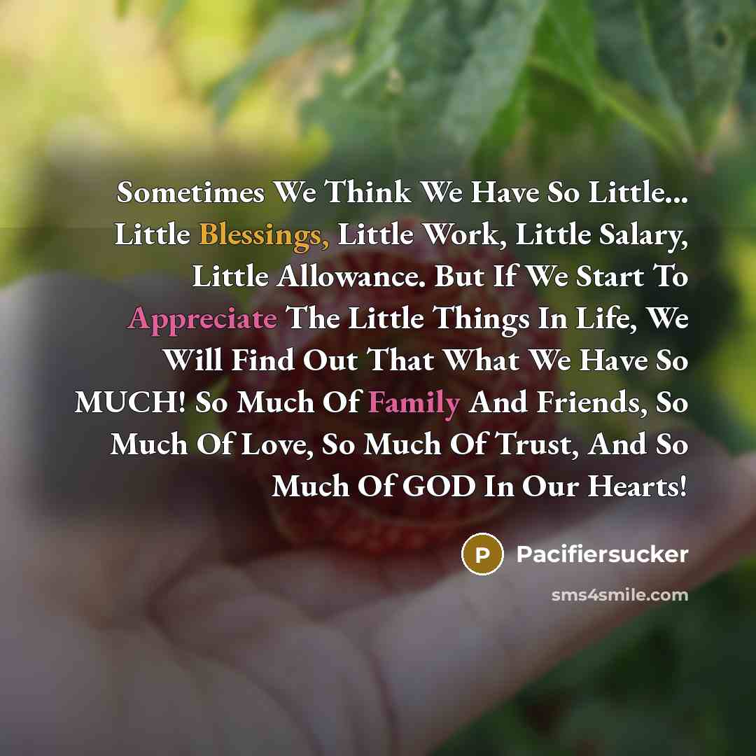“Sometimes We Think We Have So Little... Little Blessings, Little Work, Little Salary, Little Allowance. But If We Start To Appreciate The Little Things In Life, We Will Find Out That What We Have So MUCH! So Much Of Family And Friends, So Much Of Love, So Much Of Trust, And So Much Of GOD In Our…” quote by Pacifiersucker