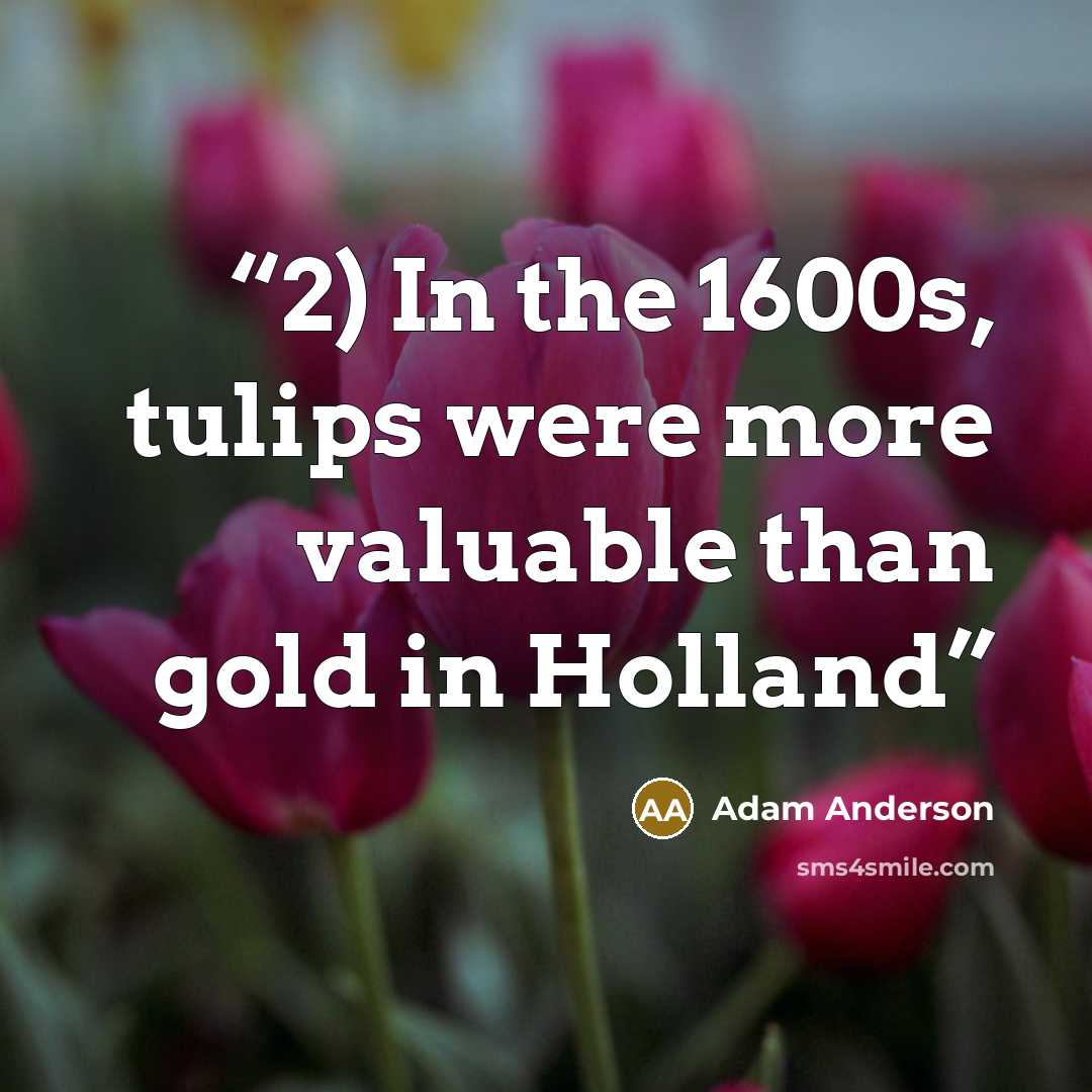 “2) In the 1600s, tulips were more valuable than gold in Holland” quote by Adam Anderson