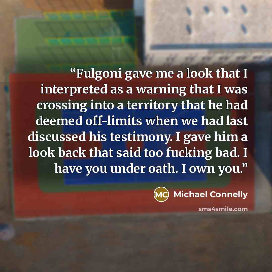 “Fulgoni gave me a look that I interpreted as a warning that I was crossing into a territory that he had deemed off-limits when we had last discussed his testimony. I gave him a look back that said too fucking bad. I have you under oath. I own you.” quote by Michael Connelly