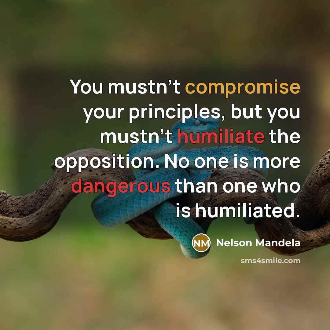 “You mustn't compromise your principles, but you mustn't humiliate the opposition. No one is more dangerous than one who is humiliated.” quote by Nelson Mandela