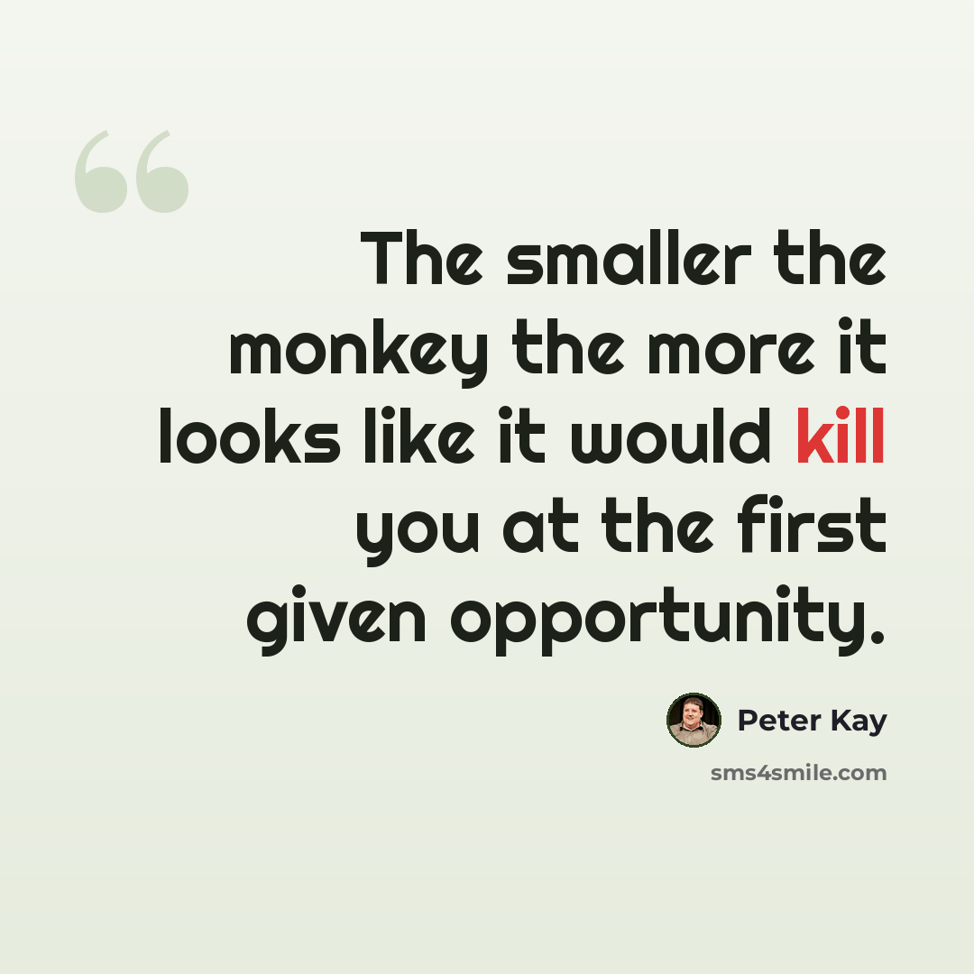 “The smaller the monkey the more it looks like it would kill you at the first given opportunity.” quote by Peter Kay