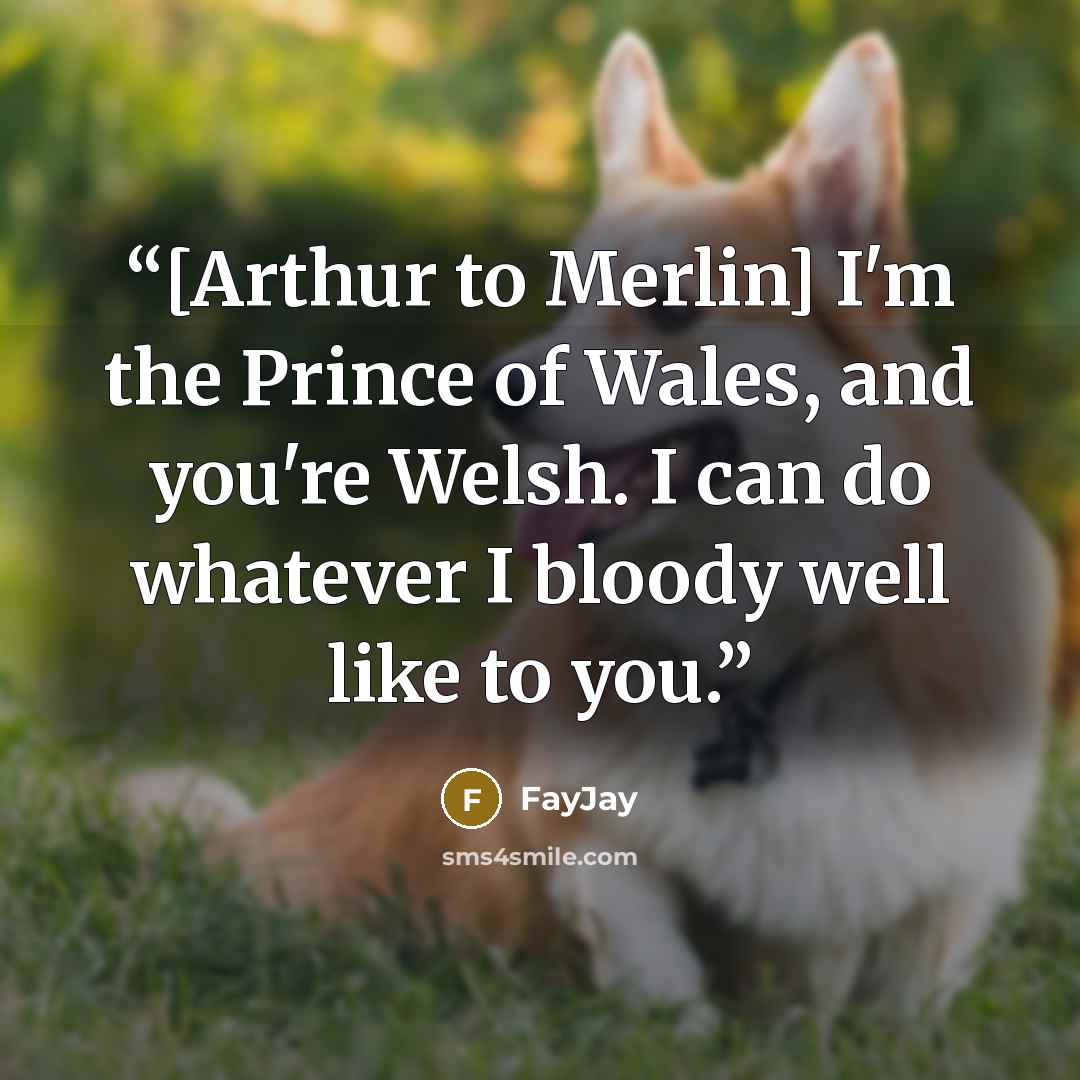 “[Arthur to Merlin] I'm the Prince of Wales, and you're Welsh. I can do whatever I bloody well like to you.” quote by FayJay