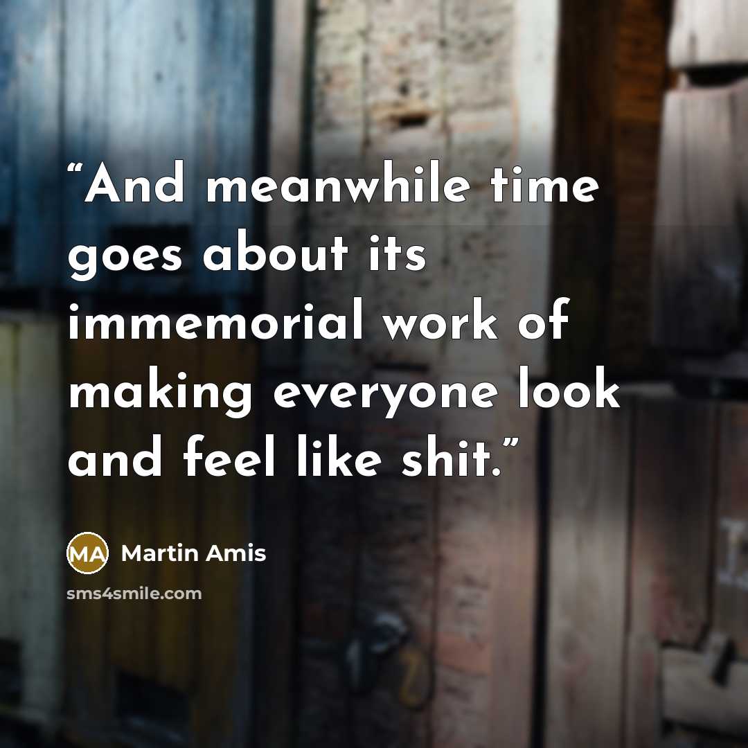 “And meanwhile time goes about its immemorial work of making everyone look and feel like shit.” quote by Martin Amis