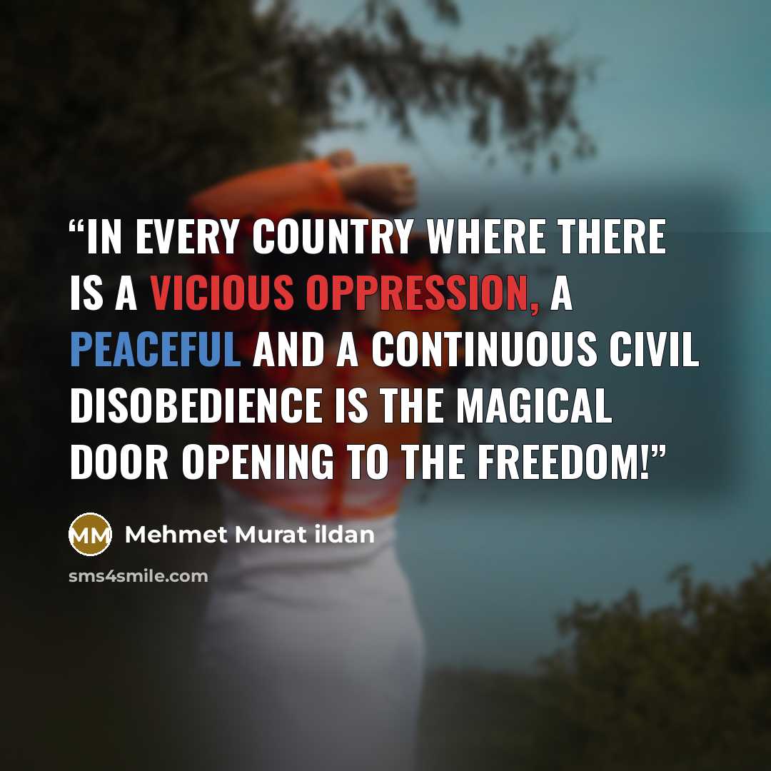 “In every country where there is a vicious oppression, a peaceful and a continuous civil disobedience is the magical door opening to the freedom!” quote by Mehmet Murat ildan