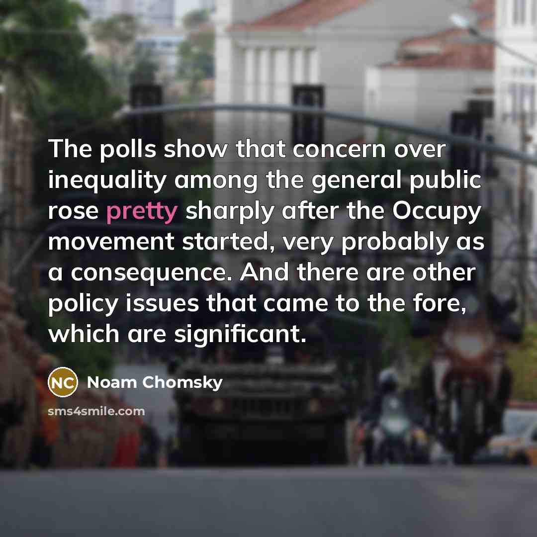 “The polls show that concern over inequality among the general public rose pretty sharply after the Occupy movement started, very probably as a consequence. And there are other policy issues that came to the fore, which are significant.” quote by Noam Chomsky
