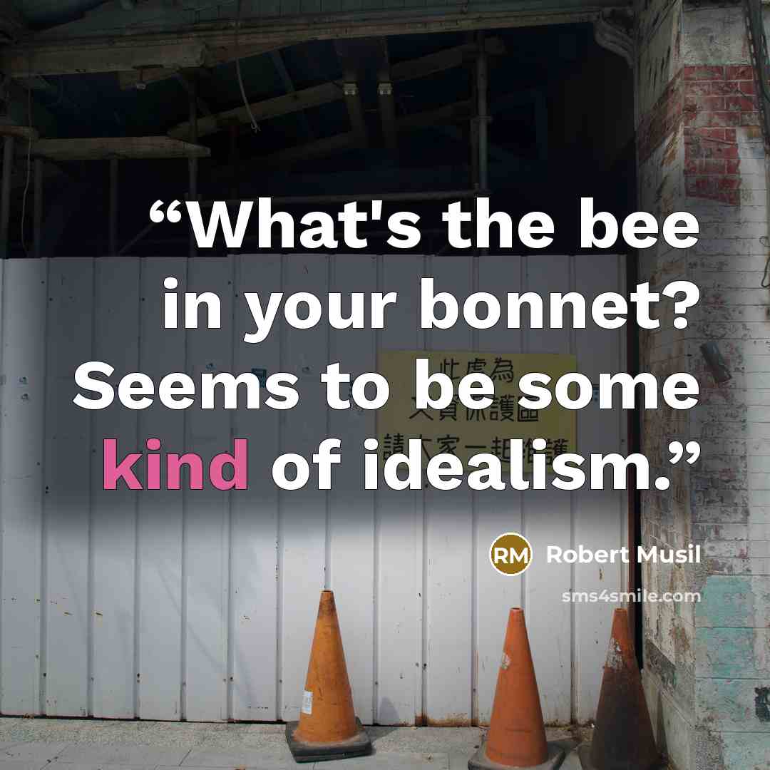 “What's the bee in your bonnet? Seems to be some kind of idealism.” quote by Robert Musil