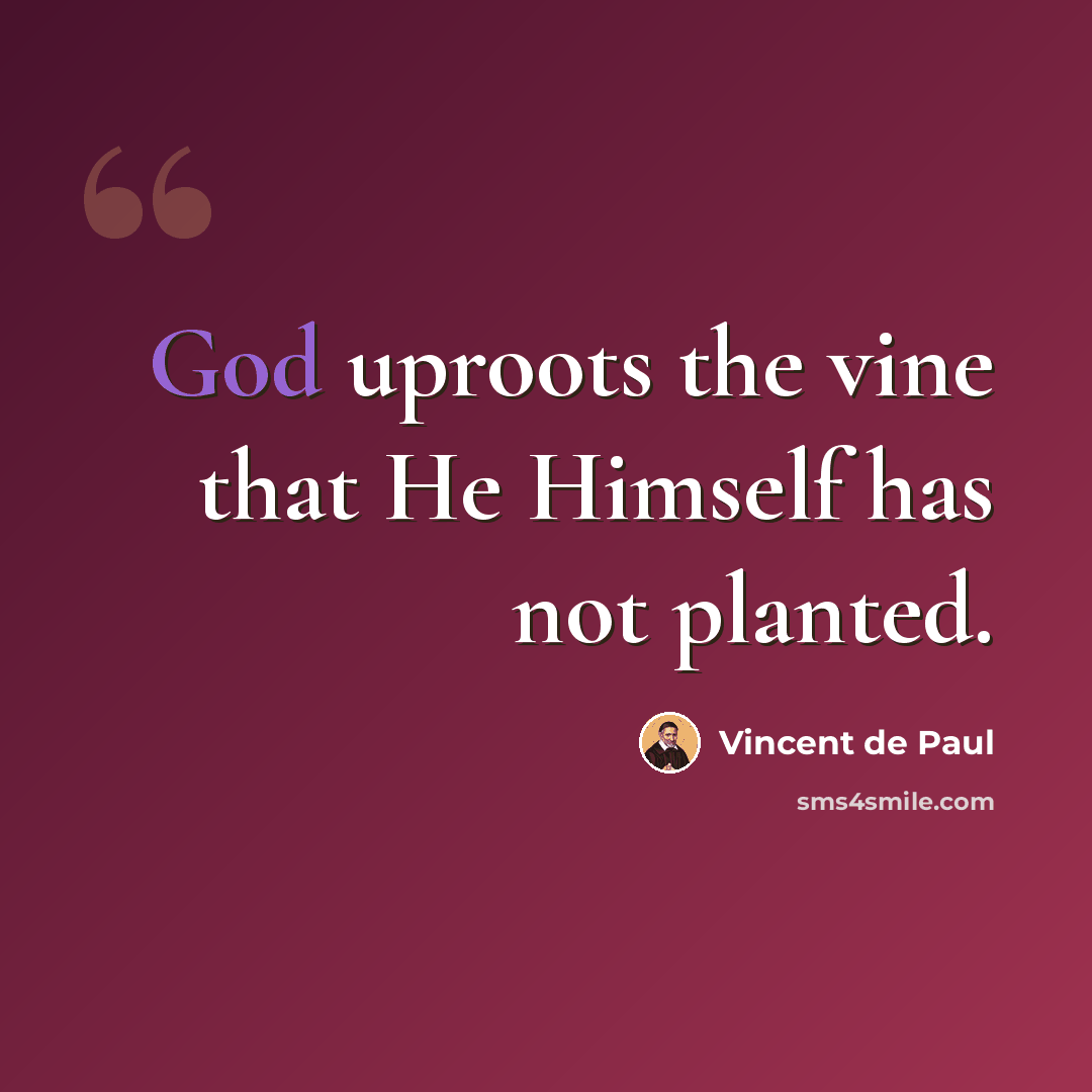“God uproots the vine that He Himself has not planted.” quote by Vincent de Paul