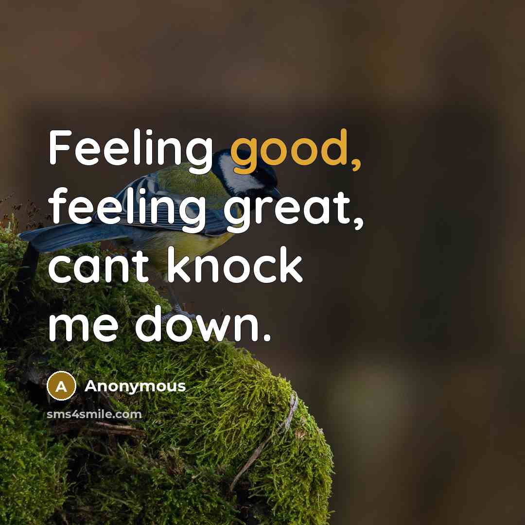 “Feeling good, feeling great, cant knock me down.” quote by Anonymous
