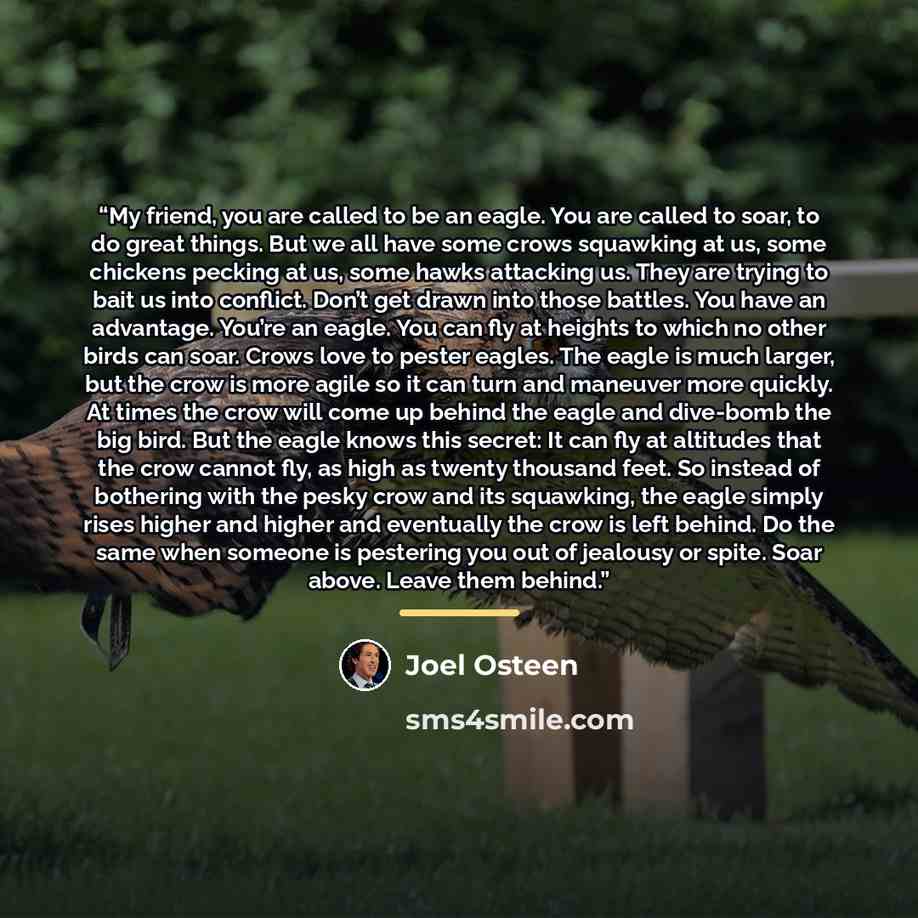 “My friend, you are called to be an eagle. You are called to soar, to do great things. But we all have some crows squawking at us, some chickens pecking at us, some hawks attacking us. They are trying to bait us into conflict. Don’t get drawn into those battles. You have an advantage. You’re an…” quote by Joel Osteen
