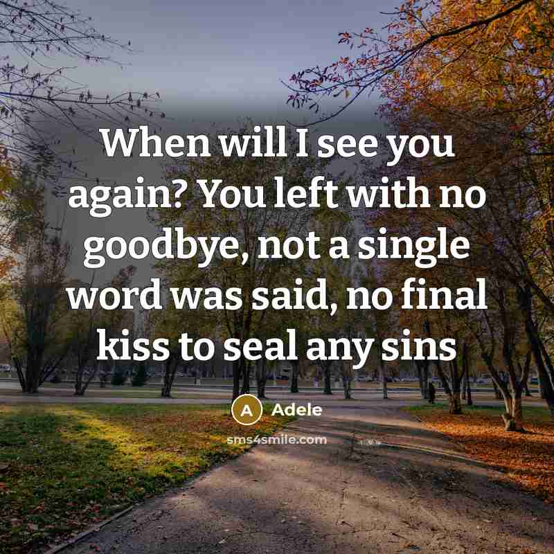 “When will I see you again? You left with no goodbye, not a single word was said, no final kiss to seal any sins” quote by Adele