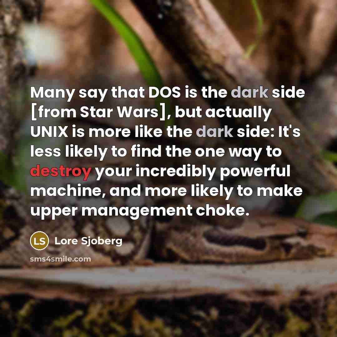 “Many say that DOS is the dark side [from Star Wars], but actually UNIX is more like the dark side: It's less likely to find the one way to destroy your incredibly powerful machine, and more likely to make upper management choke.” quote by Lore Sjoberg