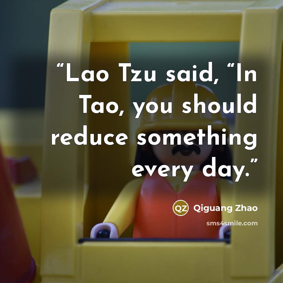 “Lao Tzu said, “In Tao, you should reduce something every day.” quote by Qiguang Zhao