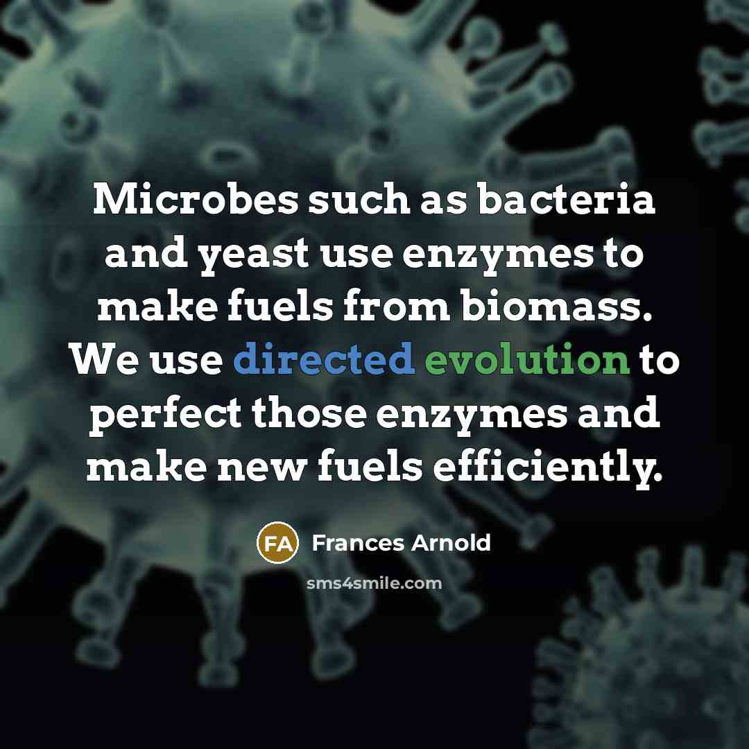 “Microbes such as bacteria and yeast use enzymes to make fuels from biomass. We use directed evolution to perfect those enzymes and make new fuels efficiently.” quote by Frances Arnold