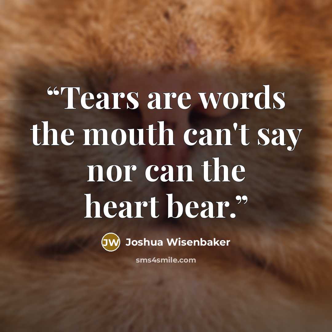 “Tears are words the mouth can't say nor can the heart bear.” quote by Joshua Wisenbaker