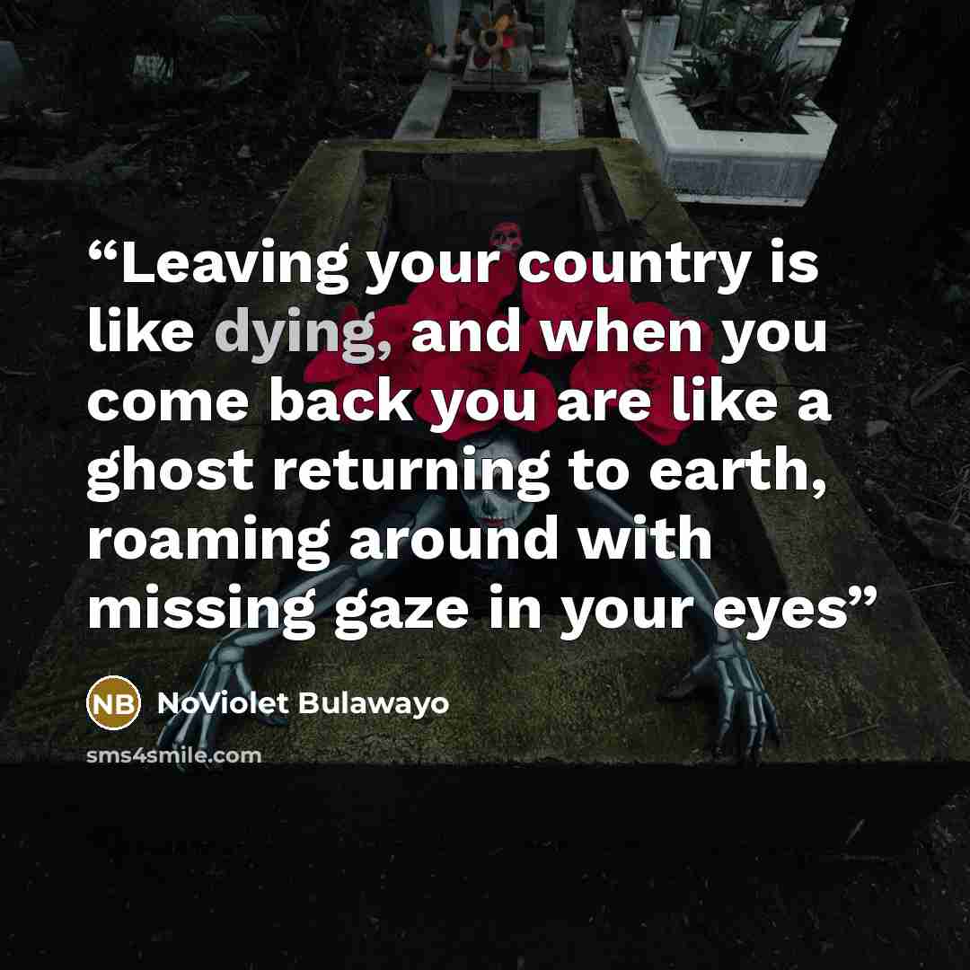 “Leaving your country is like dying, and when you come back you are like a ghost returning to earth, roaming around with missing gaze in your eyes” quote by NoViolet Bulawayo