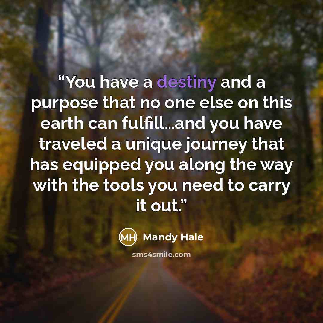 “You have a destiny and a purpose that no one else on this earth can fulfill…and you have traveled a unique journey that has equipped you along the way with the tools you need to carry it out.” quote by Mandy Hale