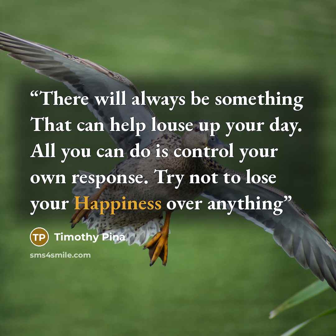 “There will always be something That can help louse up your day. All you can do is control your own response. Try not to lose your Happiness over anything” quote by Timothy Pina