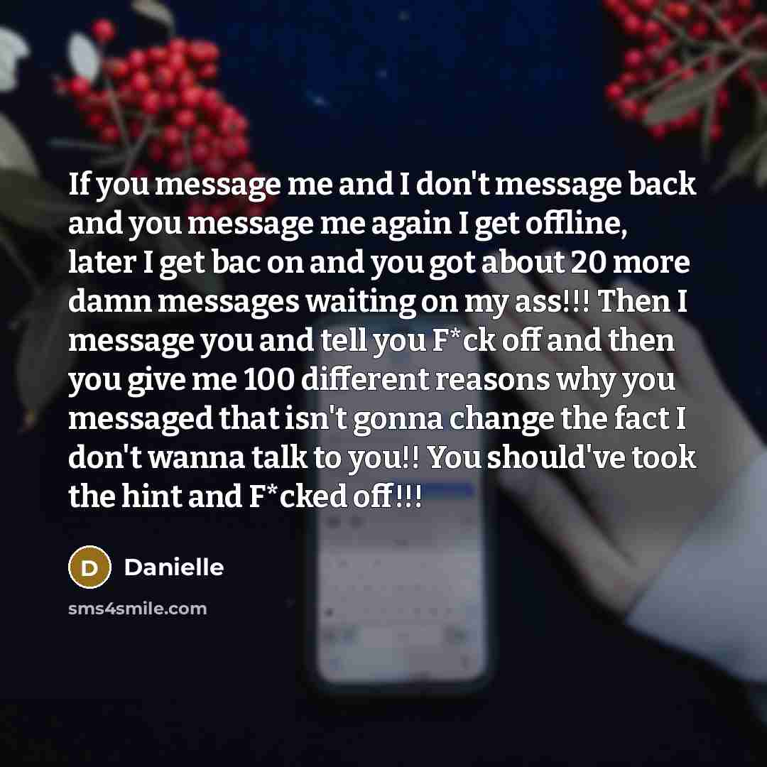 “If you message me and I don't message back and you message me again I get offline, later I get bac on and you got about 20 more damn messages waiting on my ass!!! Then I message you and tell you F*ck off and then you give me 100 different reasons why you messaged that isn't gonna change the fact I…” quote by Danielle