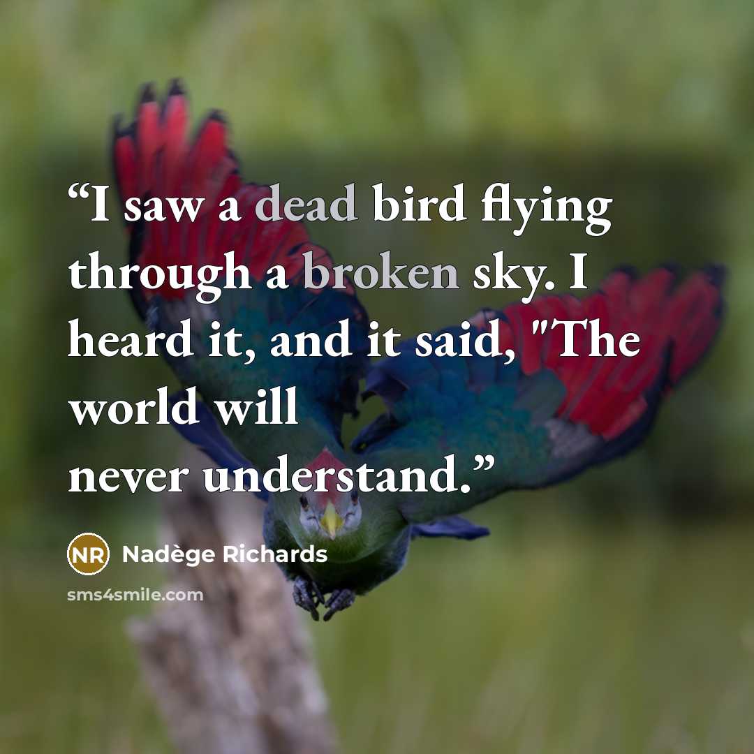 “I saw a dead bird flying through a broken sky. I heard it, and it said, "The world will never understand.” quote by Nadège Richards