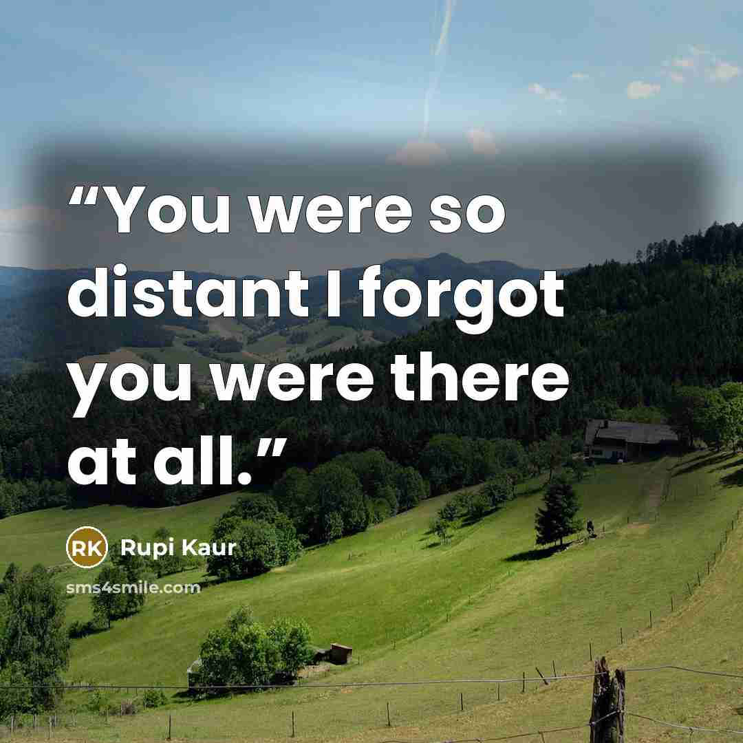 “You were so distant I forgot you were there at all.” quote by Rupi Kaur