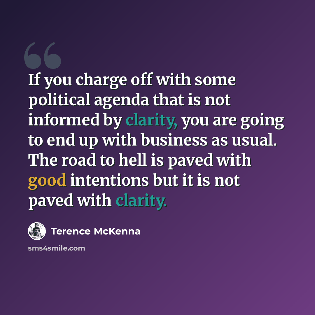 “If you charge off with some political agenda that is not informed by clarity, you are going to end up with business as usual. The road to hell is paved with good intentions but it is not paved with clarity.” quote by Terence McKenna