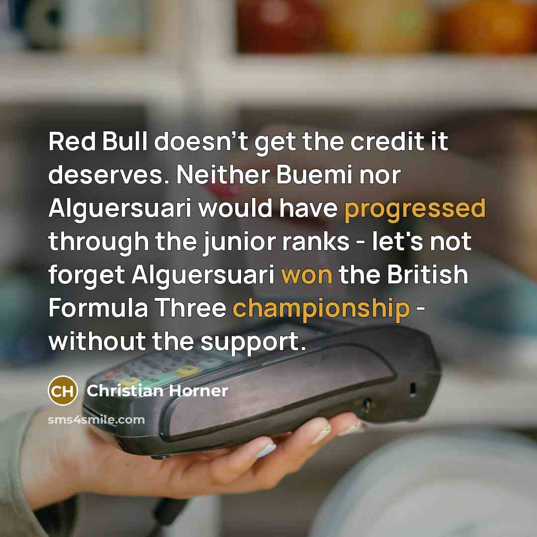 “Red Bull doesn't get the credit it deserves. Neither Buemi nor Alguersuari would have progressed through the junior ranks - let's not forget Alguersuari won the British Formula Three championship - without the support.” quote by Christian Horner