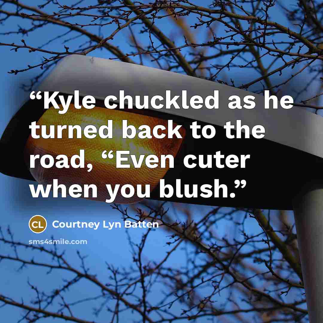 “Kyle chuckled as he turned back to the road, “Even cuter when you blush.” quote by Courtney Lyn Batten