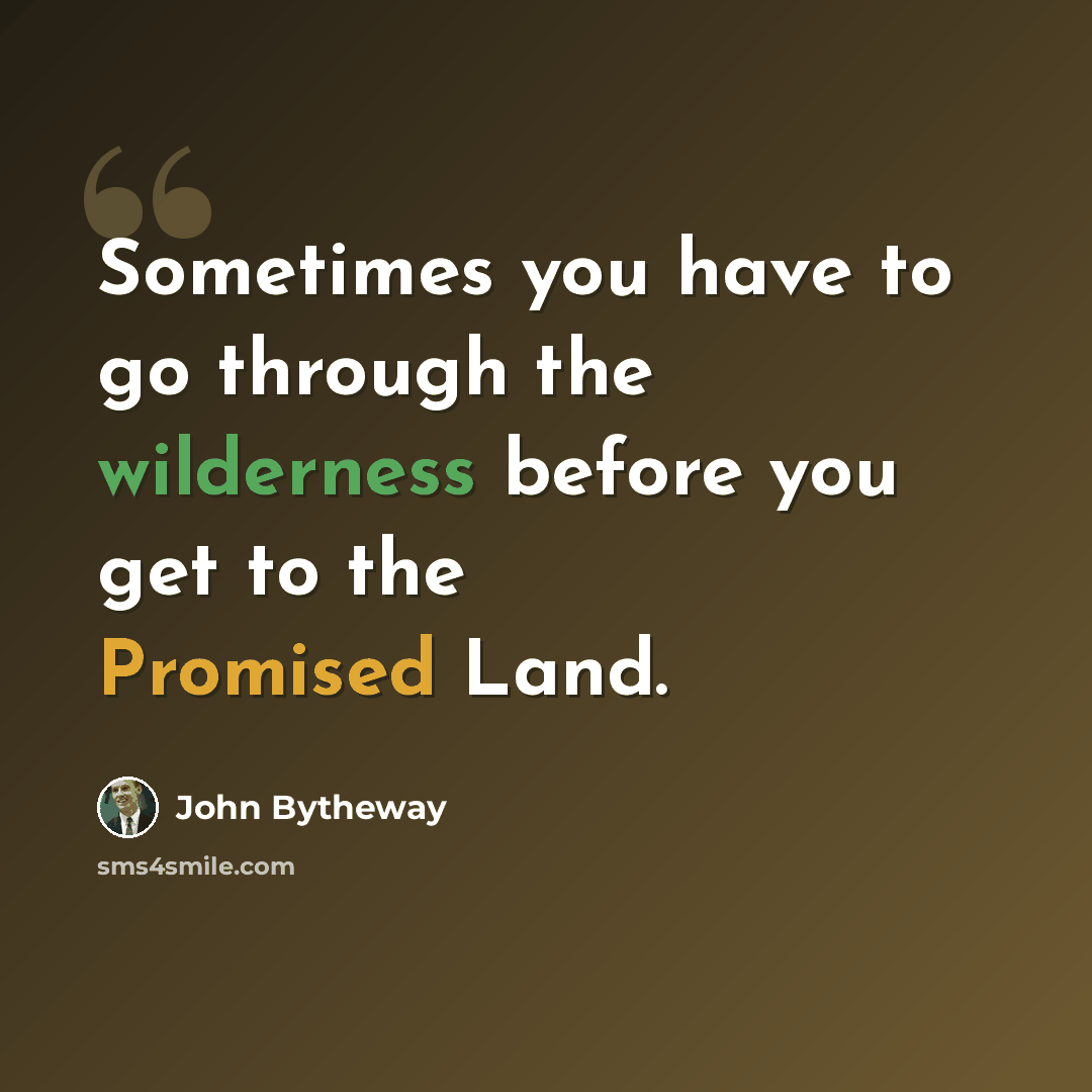 “Sometimes you have to go through the wilderness before you get to the Promised Land.” quote by John Bytheway