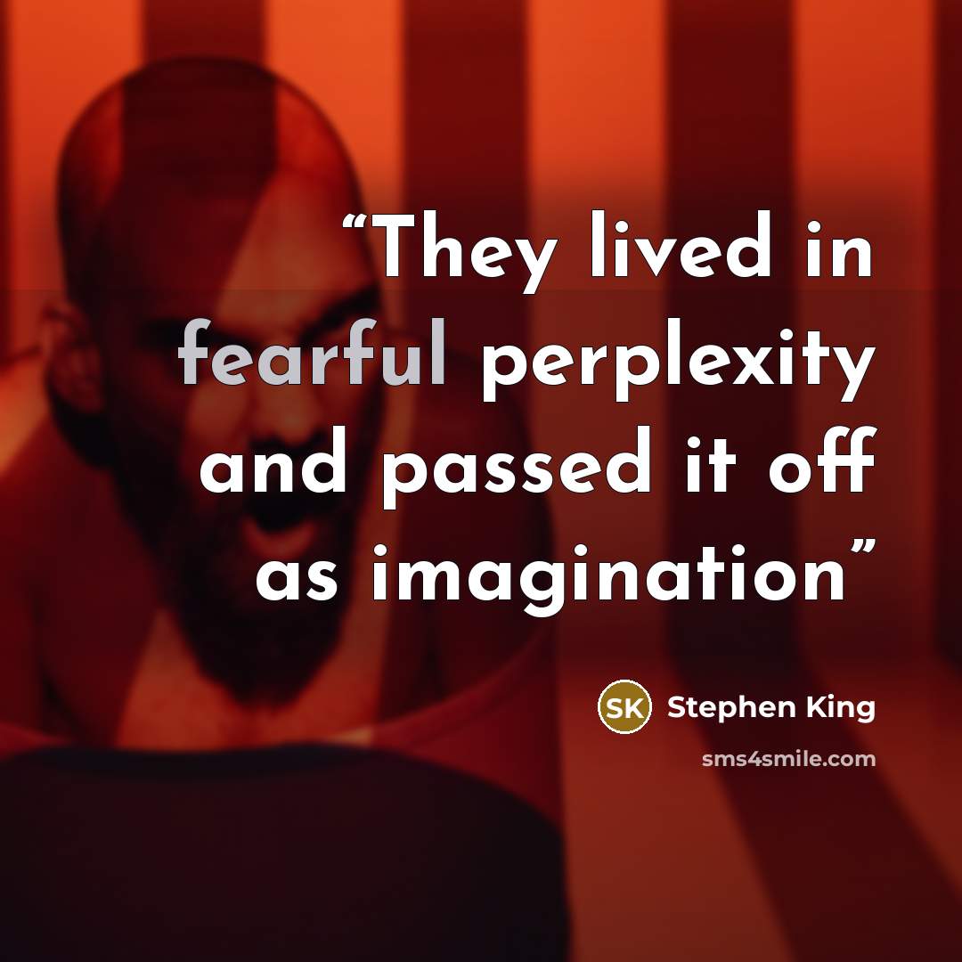“They lived in fearful perplexity and passed it off as imagination” quote by Stephen King