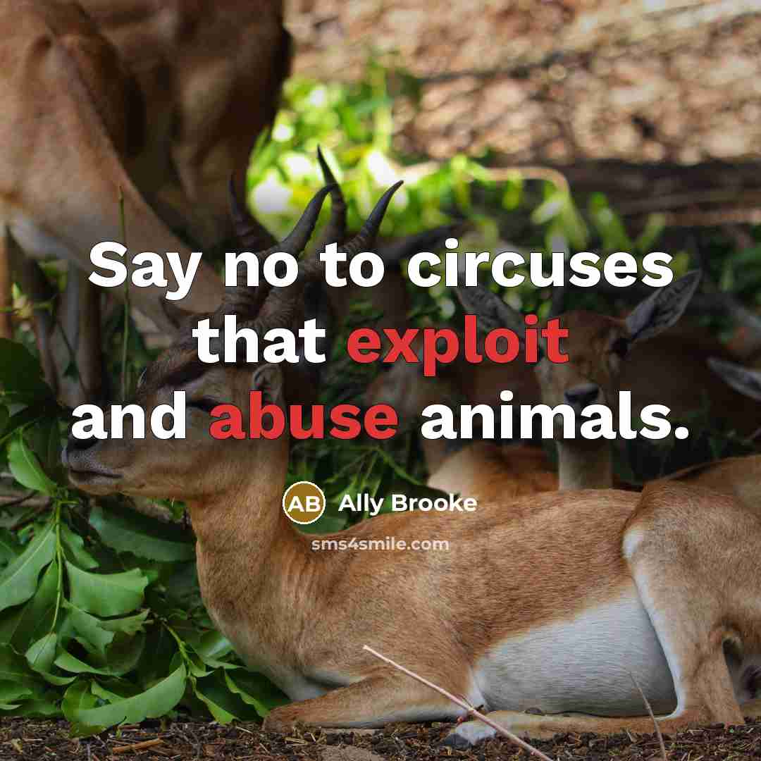 “Say no to circuses that exploit and abuse animals.” quote by Ally Brooke