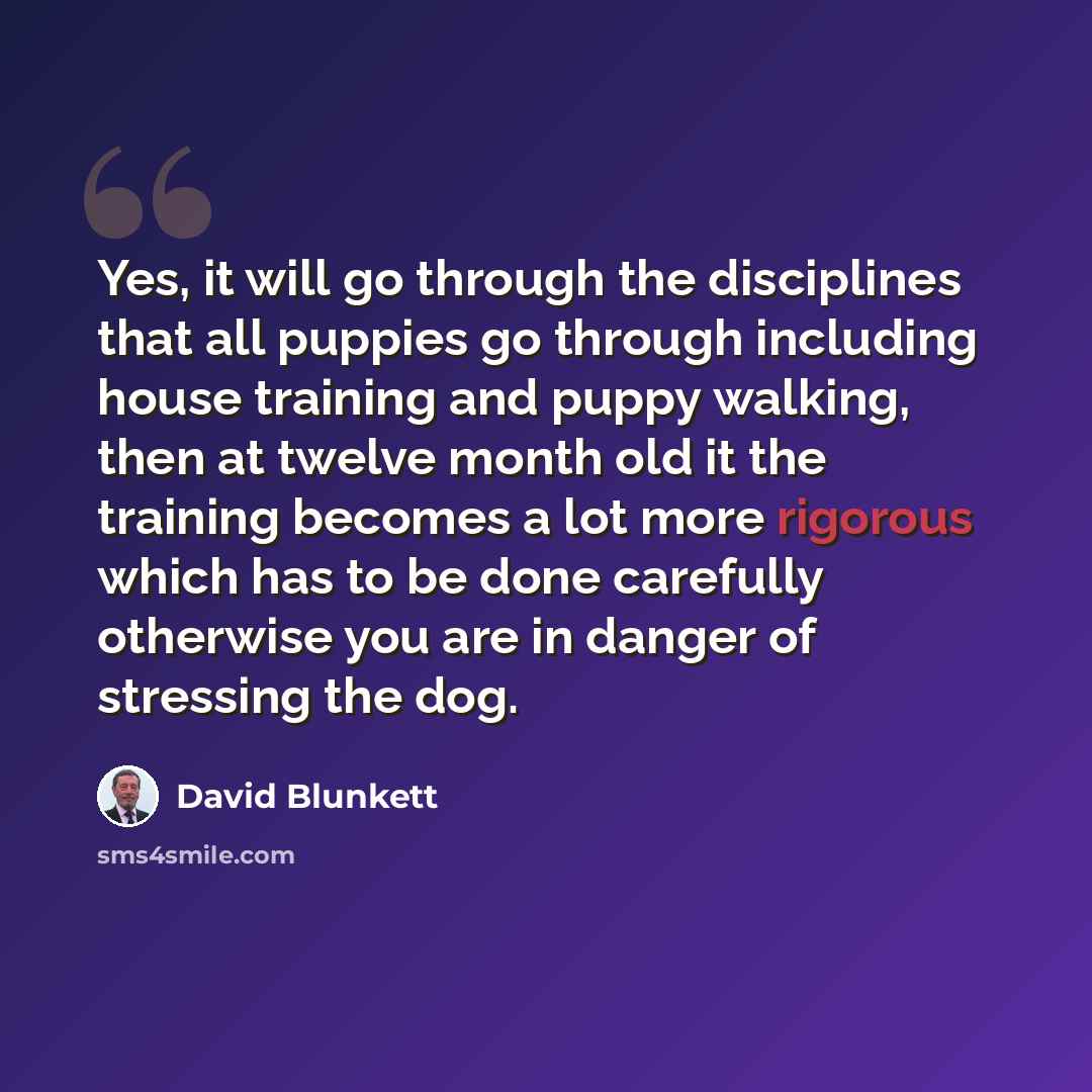 “Yes, it will go through the disciplines that all puppies go through including house training and puppy walking, then at twelve month old it the training becomes a lot more rigorous which has to be done carefully otherwise you are in danger of stressing the dog.” quote by David Blunkett