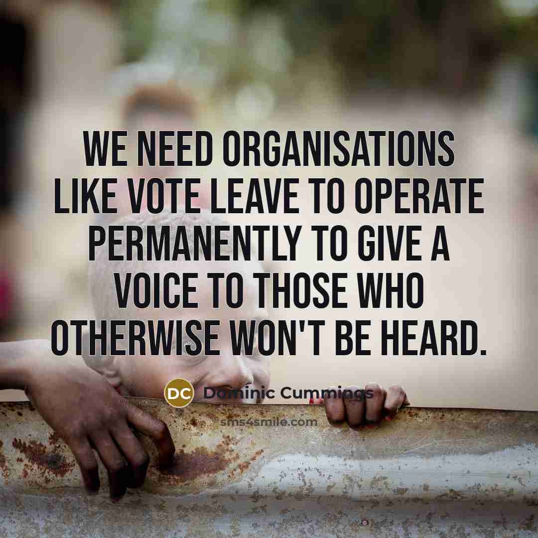 “We need organisations like Vote Leave to operate permanently to give a voice to those who otherwise won't be heard.” quote by Dominic Cummings