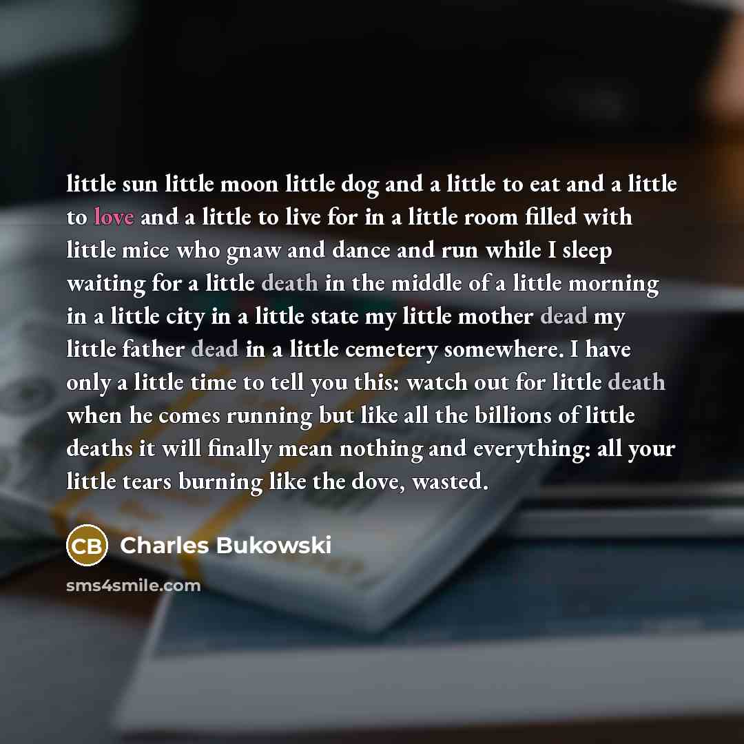 “little sun little moon little dog and a little to eat and a little to love and a little to live for in a little room filled with little mice who gnaw and dance and run while I sleep waiting for a little death in the middle of a little morning in a little city in a little state my little mother…” quote by Charles Bukowski