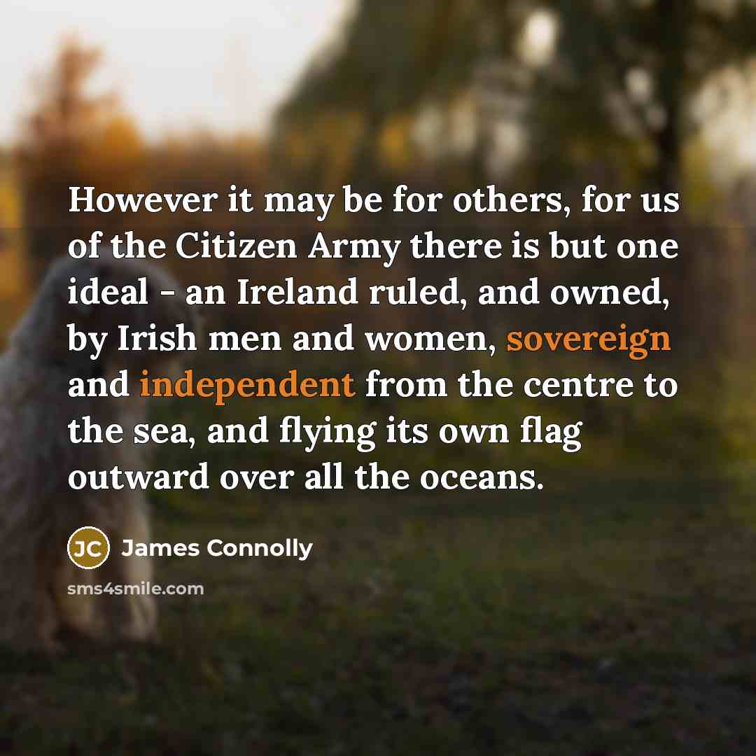 “However it may be for others, for us of the Citizen Army there is but one ideal - an Ireland ruled, and owned, by Irish men and women, sovereign and independent from the centre to the sea, and flying its own flag outward over all the oceans.” quote by James Connolly