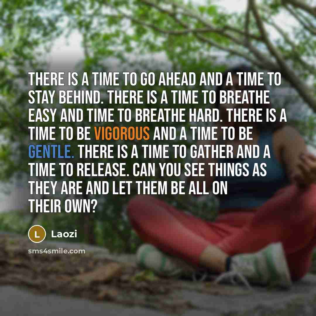“There is a time to go ahead and a time to stay behind. There is a time to breathe easy and time to breathe hard. There is a time to be vigorous and a time to be gentle. There is a time to gather and a time to release. Can you see things as they are And let them be all on their own?” quote by Laozi