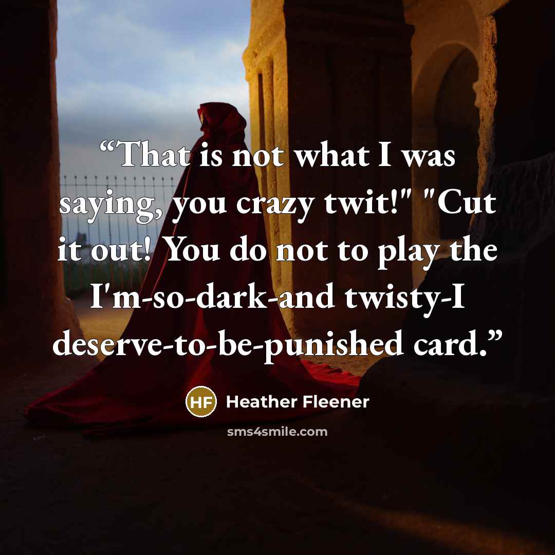 “That is not what I was saying, you crazy twit!" "Cut it out! You do not to play the I'm-so-dark-and twisty-I deserve-to-be-punished card.” quote by Heather Fleener