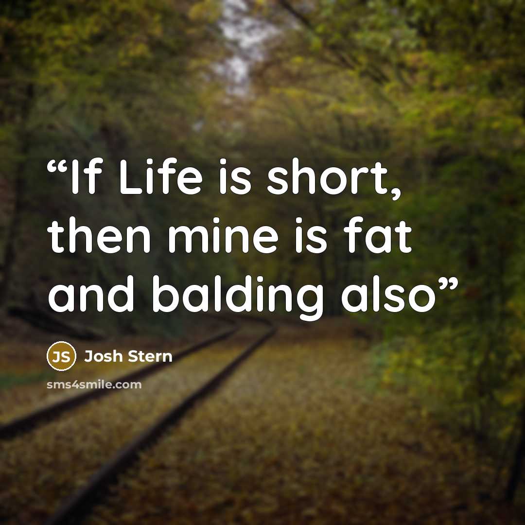 “If Life is short, then mine is fat and balding also” quote by Josh Stern