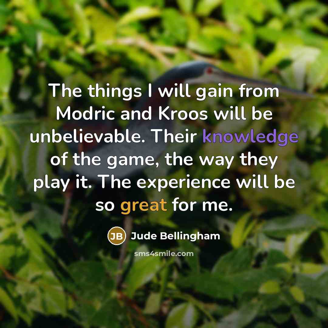 “The things I will gain from Modric and Kroos will be unbelievable. Their knowledge of the game, the way they play it. The experience will be so great for me.” quote by Jude Bellingham