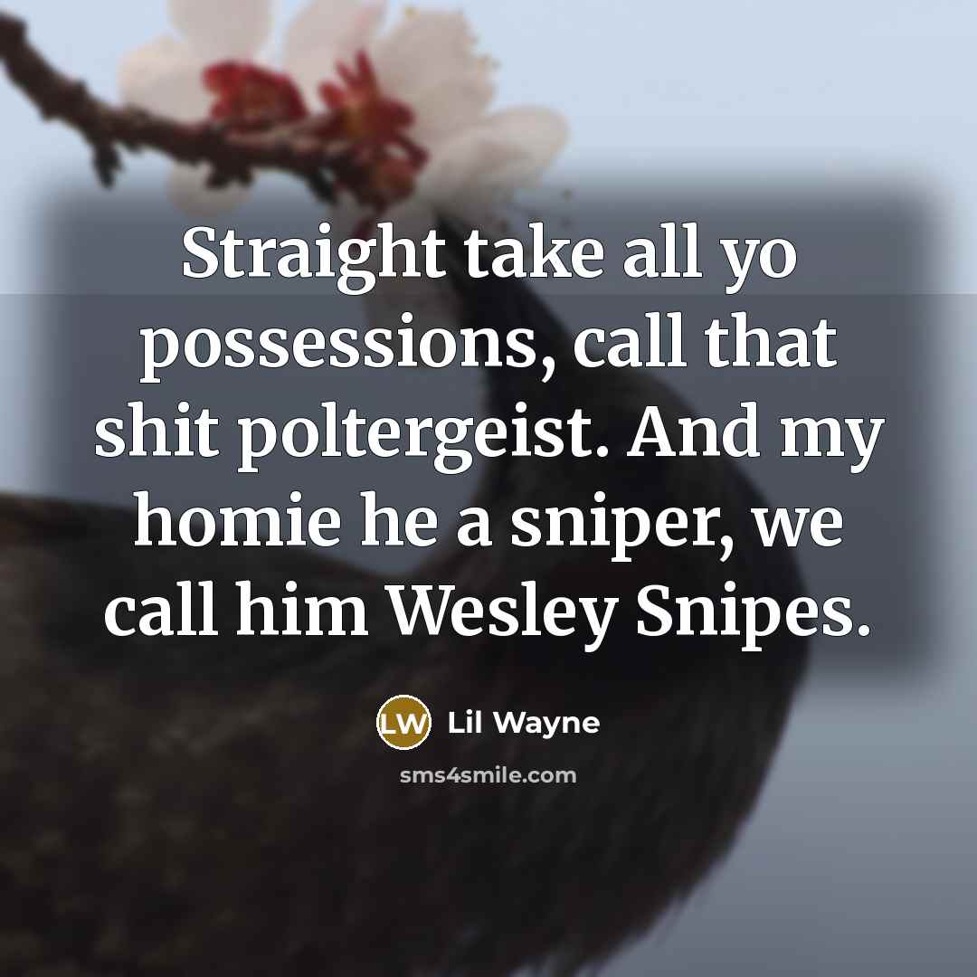 “Straight take all yo possessions, call that shit poltergeist. And my homie he a sniper, we call him Wesley Snipes.” quote by Lil Wayne