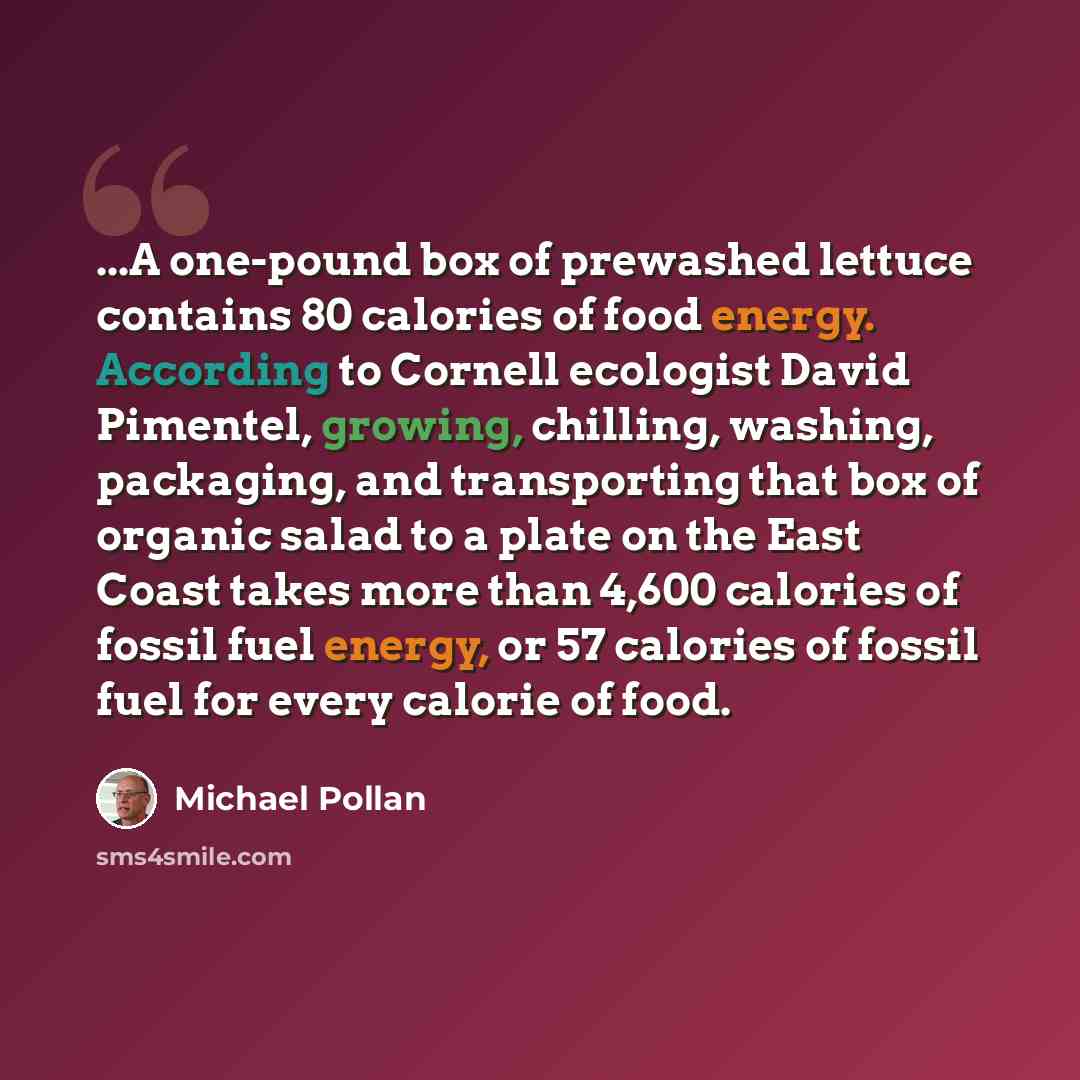 “...A one-pound box of prewashed lettuce contains 80 calories of food energy. According to Cornell ecologist David Pimentel, growing, chilling, washing, packaging, and transporting that box of organic salad to a plate on the East Coast takes more than 4,600 calories of fossil fuel energy, or 57…” quote by Michael Pollan