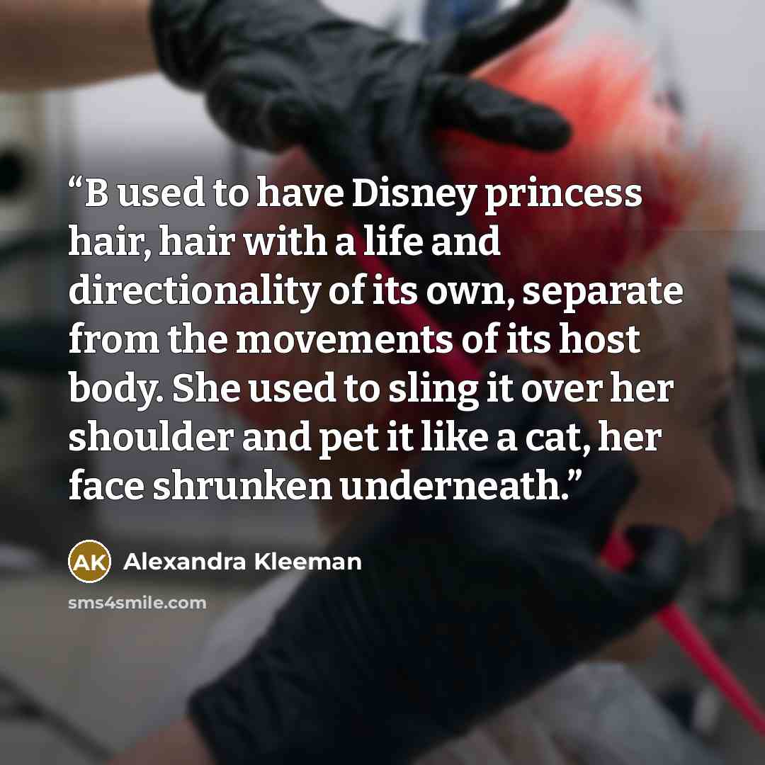 “B used to have Disney princess hair, hair with a life and directionality of its own, separate from the movements of its host body. She used to sling it over her shoulder and pet it like a cat, her face shrunken underneath.” quote by Alexandra Kleeman