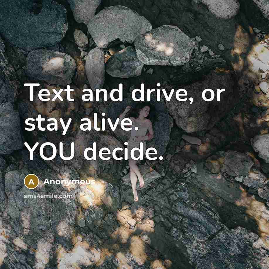 “Text and drive, or stay alive. YOU decide.” quote by Anonymous