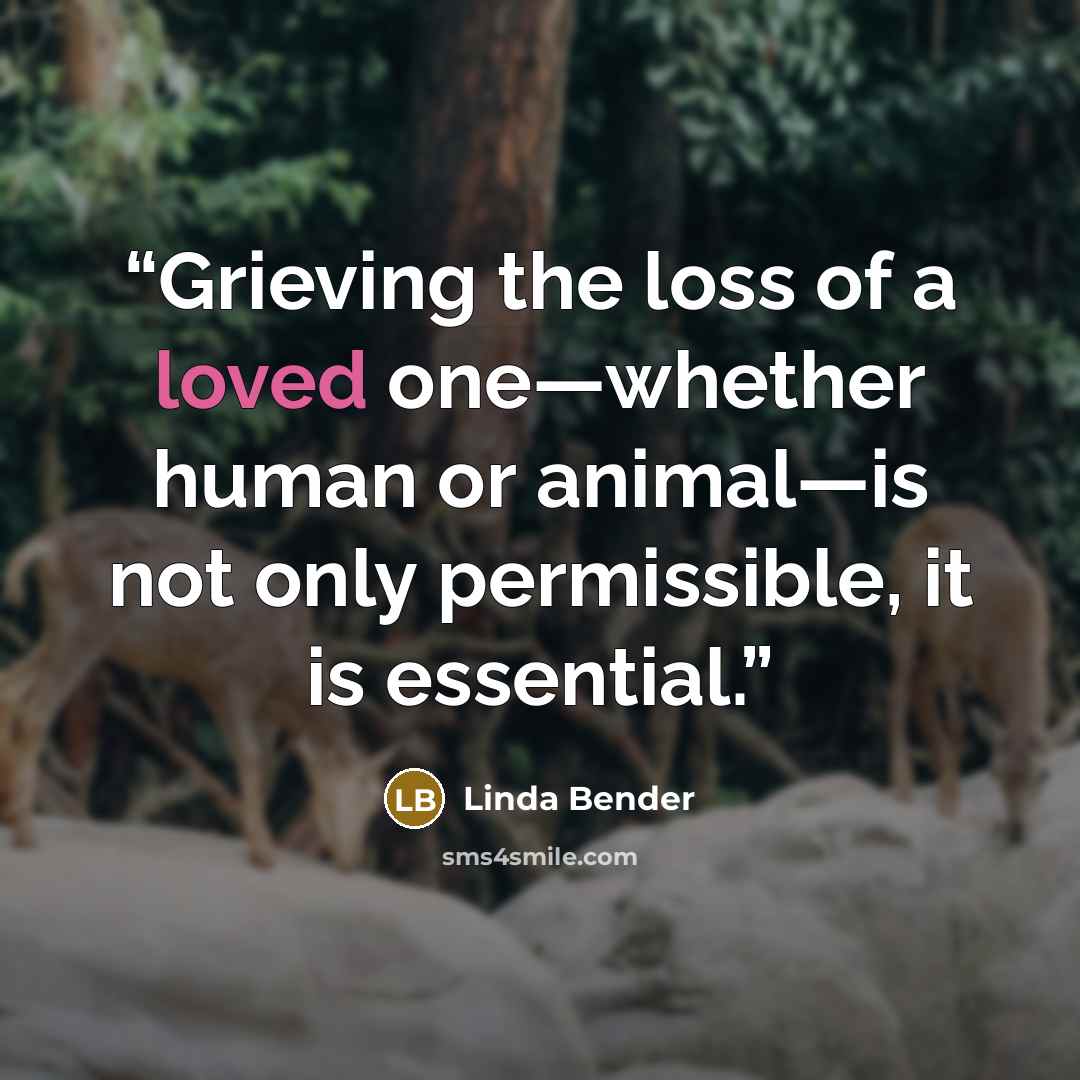 “Grieving the loss of a loved one—whether human or animal—is not only permissible, it is essential.” quote by Linda Bender