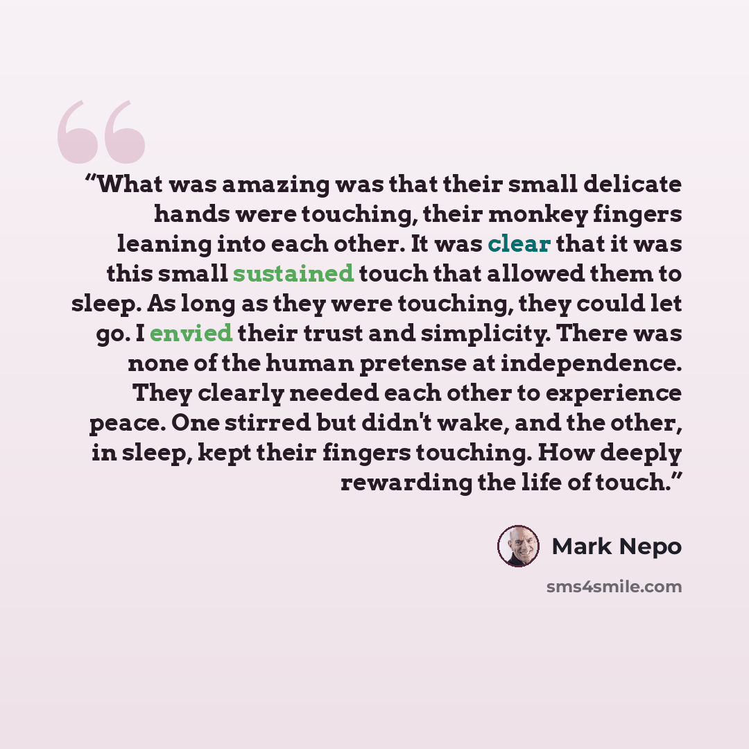 “What was amazing was that their small delicate hands were touching, their monkey fingers leaning into each other. It was clear that it was this small sustained touch that allowed them to sleep. As long as they were touching, they could let go. I envied their trust and simplicity. There was none of…” quote by Mark Nepo
