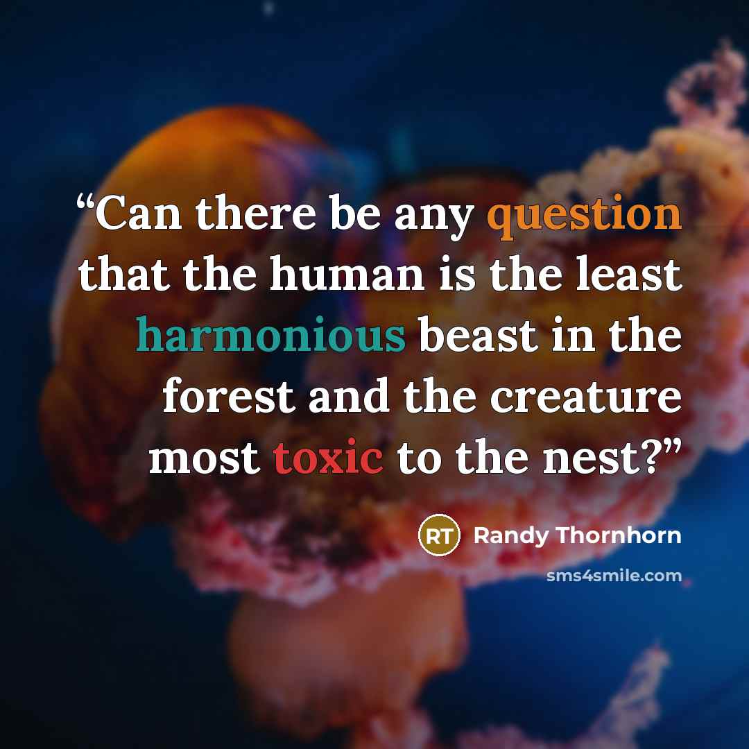 “Can there be any question that the human is the least harmonious beast in the forest and the creature most toxic to the nest?” quote by Randy Thornhorn