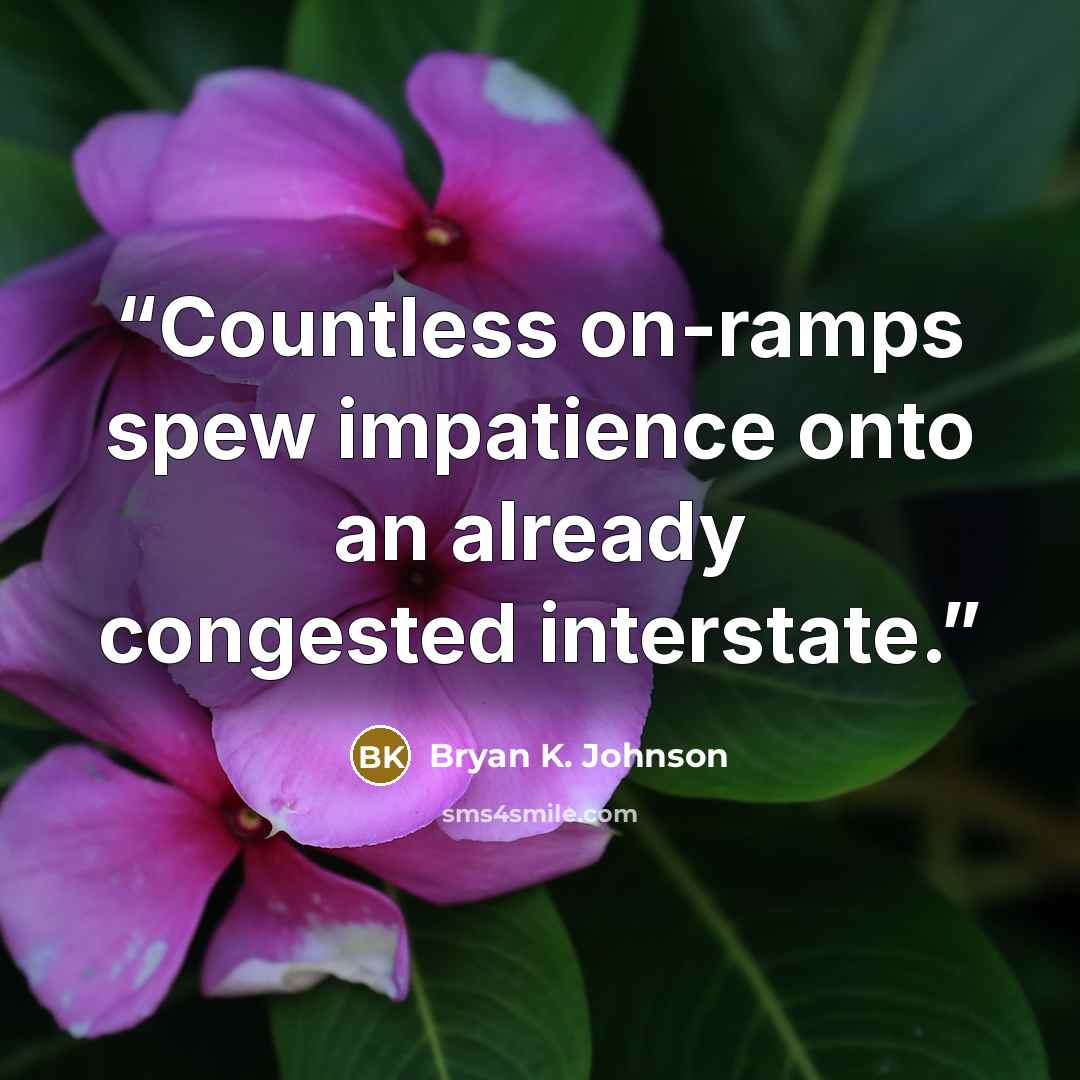 “Countless on-ramps spew impatience onto an already congested interstate.” quote by Bryan K. Johnson