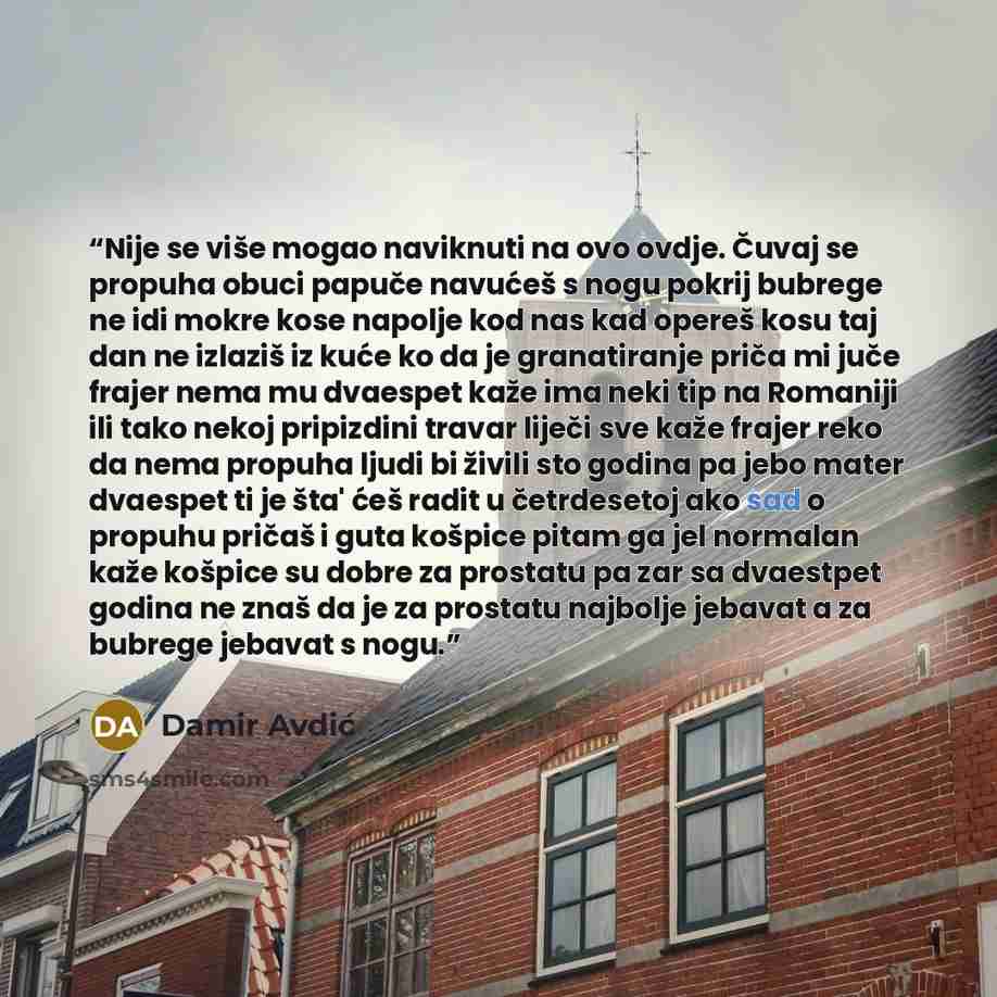 “Nije se više mogao naviknuti na ovo ovdje. Čuvaj se propuha obuci papuče navućeš s nogu pokrij bubrege ne idi mokre kose napolje kod nas kad opereš kosu taj dan ne izlaziš iz kuće ko da je granatiranje priča mi juče frajer nema mu dvaespet kaže ima neki tip na Romaniji ili tako nekoj pripizdini…” quote by Damir Avdić