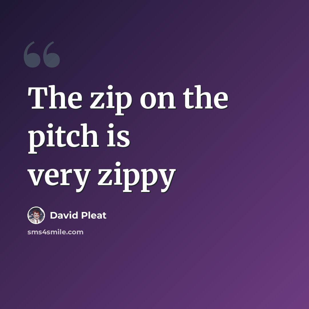 “The zip on the pitch is very zippy” quote by David Pleat