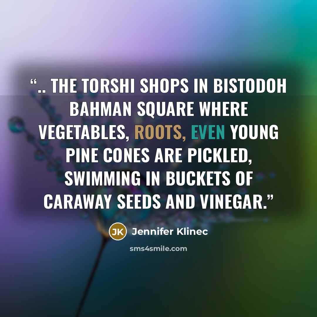 “.. the torshi shops in Bistodoh Bahman Square where vegetables, roots, even young pine cones are pickled, swimming in buckets of caraway seeds and vinegar.” quote by Jennifer Klinec