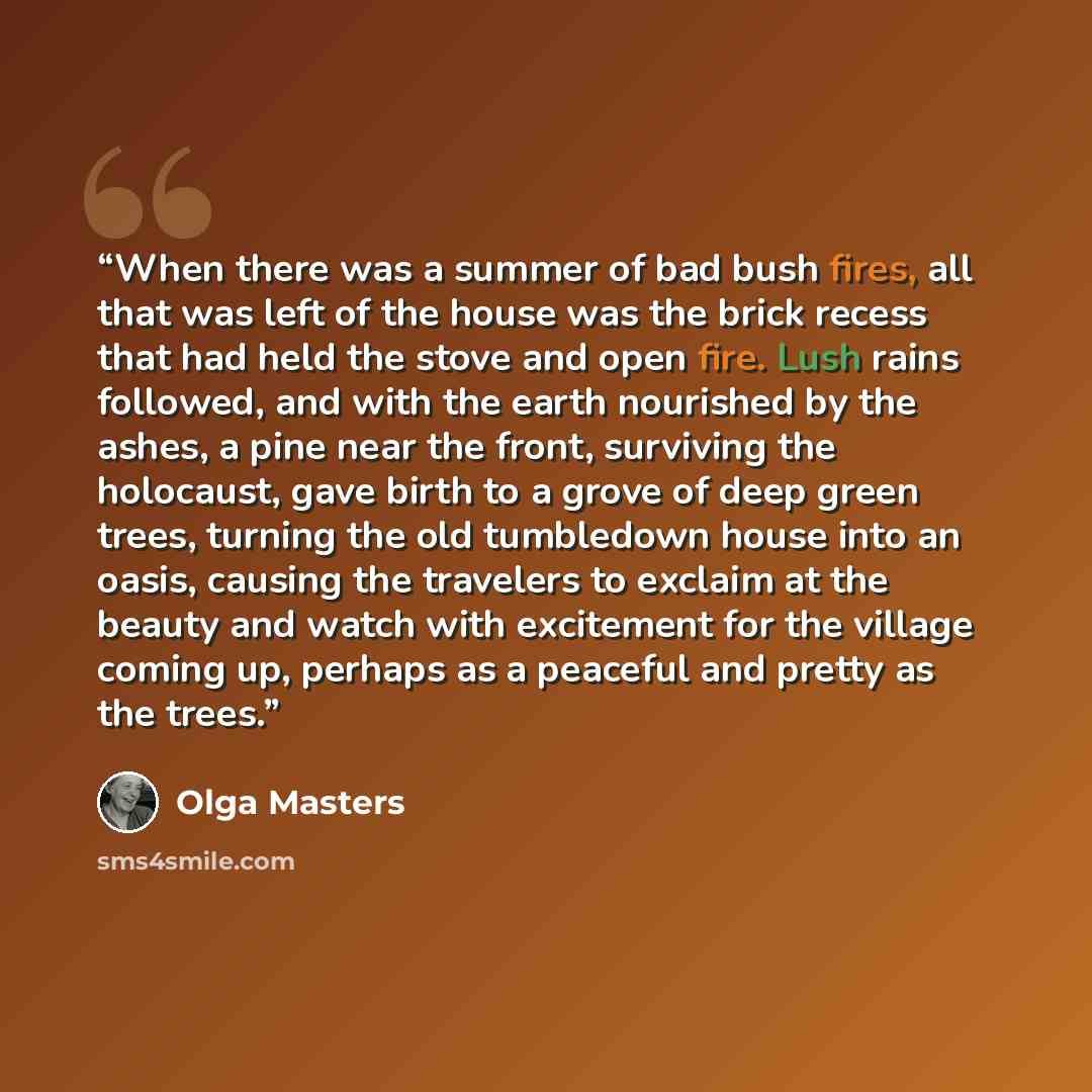 “When there was a summer of bad bush fires, all that was left of the house was the brick recess that had held the stove and open fire. Lush rains followed, and with the earth nourished by the ashes, a pine near the front, surviving the holocaust, gave birth to a grove of deep green trees, turning…” quote by Olga Masters